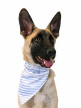 Load image into Gallery viewer, Hamptons Reversible Collar Bandana (Blue Stripe / Navy Anchors) - Vanderpump Pets
