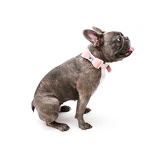 Load image into Gallery viewer, VP Pets Darling Diamond Velvet Bow Tie Collar- Pink - Vanderpump Pets
